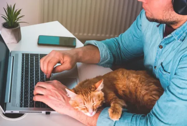 How to structure hybrid or remote work