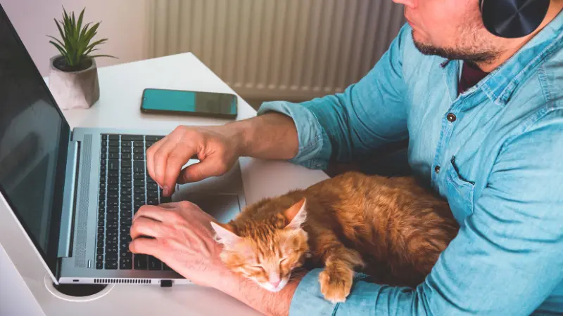 How to structure hybrid or remote work